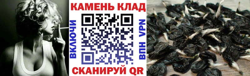 Гашиш Нарьян-Мар