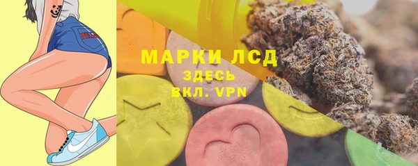 стаф Коряжма