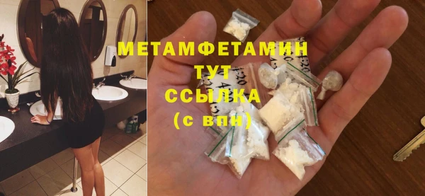 ГАЛЛЮЦИНОГЕННЫЕ ГРИБЫ Козловка