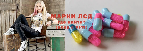 сатива Пенза