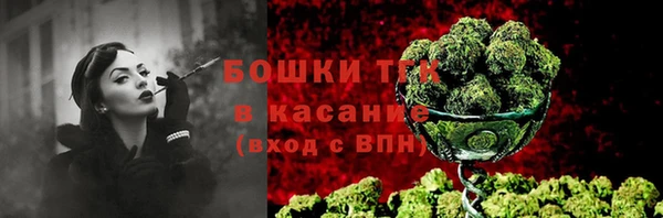 трава Кодинск