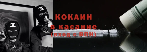 ГАЛЛЮЦИНОГЕННЫЕ ГРИБЫ Козловка