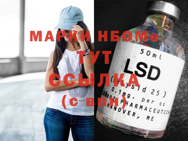 ГАЛЛЮЦИНОГЕННЫЕ ГРИБЫ Козловка