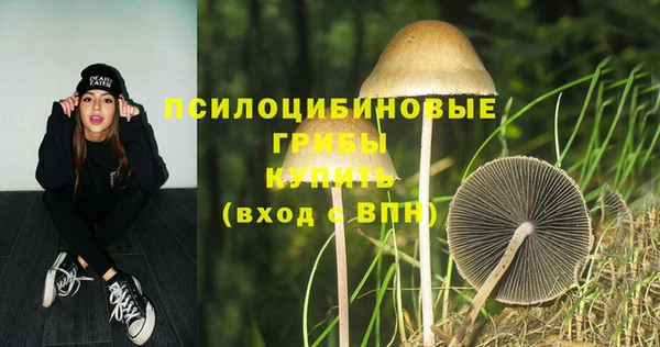 трава Кодинск