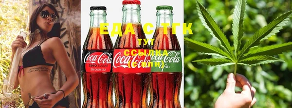 ГАЛЛЮЦИНОГЕННЫЕ ГРИБЫ Козловка