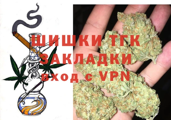 ГАЛЛЮЦИНОГЕННЫЕ ГРИБЫ Козловка