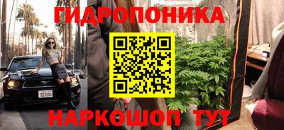каннабис Владимир