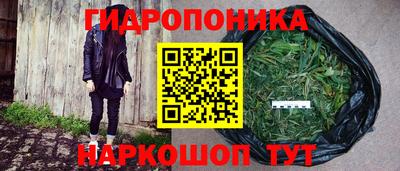 наркотики Боровичи